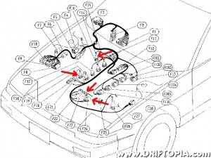 This diagram highlights the plugs that need to be moved.  They are F14, F19, F23 and F24 on page 868 of the FSM.